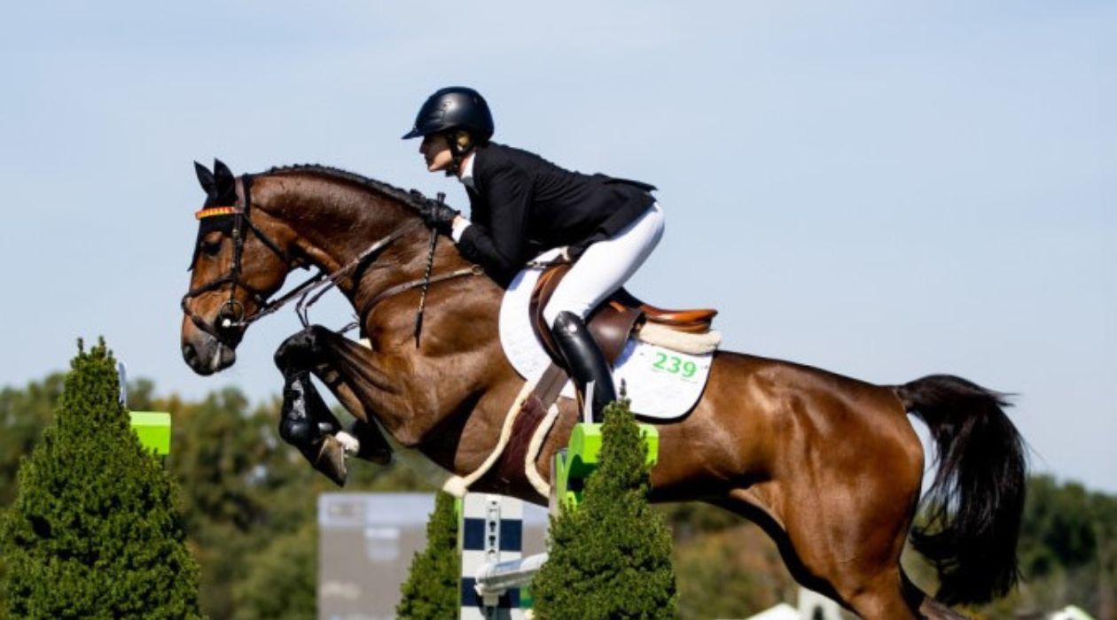 Photo courtesy of Gable Media and the Silo Ridge Field Club. A rider in a black coat and black helmet clears an obstacle aboard a brown horse.